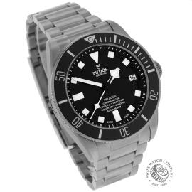 Tudor Pelagos 